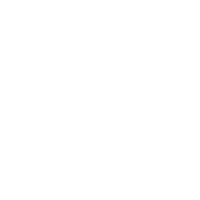自主知識產(chǎn)權(quán)